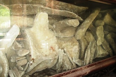 Kỳ bí chuyện cá Ông “chữa bệnh” hiếm con