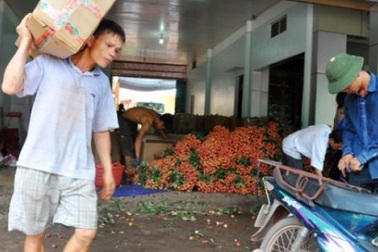 Đủ dịch vụ ăn theo mùa vải thiều: "Lái mồm" cũng kiếm bộn tiền