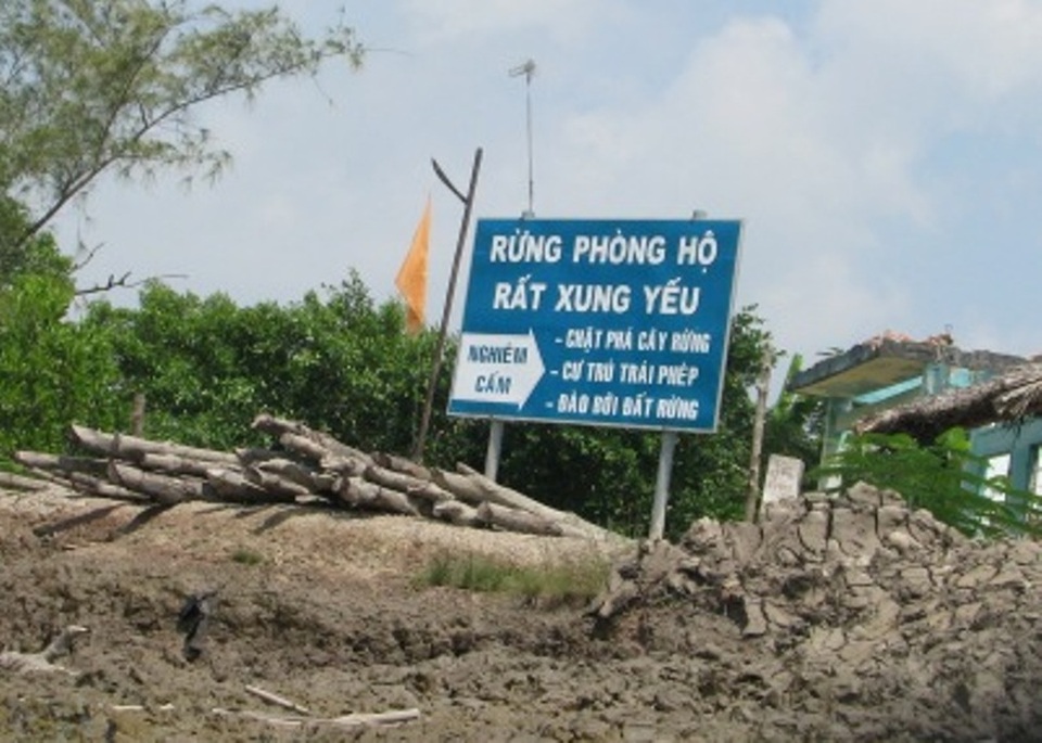 Xử lý tập thể, cá nhân để rừng bị chặt trái phép tại VQG Mũi Cà mau - 1 Xử lý tập thể, cá nhân để rừng bị chặt trái phép tại VQG Mũi Cà mau - 1