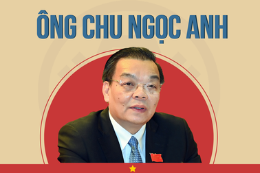Quá trình công tác của ông Chu Ngọc Anh