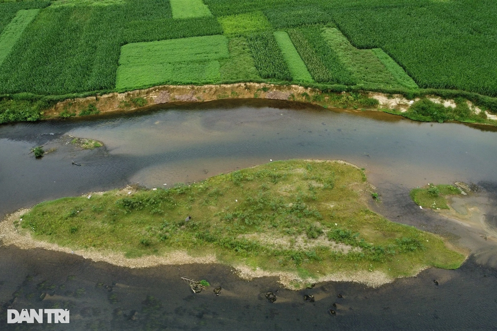 120 hộ dân có nguy cơ mất đất sản xuất vì sông Ngàn Phố sạt lở - 3