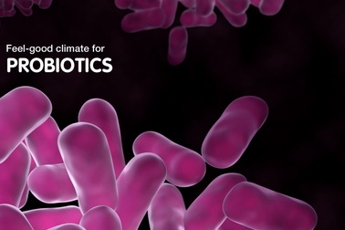 Hiểu đúng về việc tẩy độc cơ thể