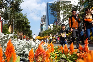 Hơn 1 triệu lượt khách tham quan đường hoa Tết Ất Mùi