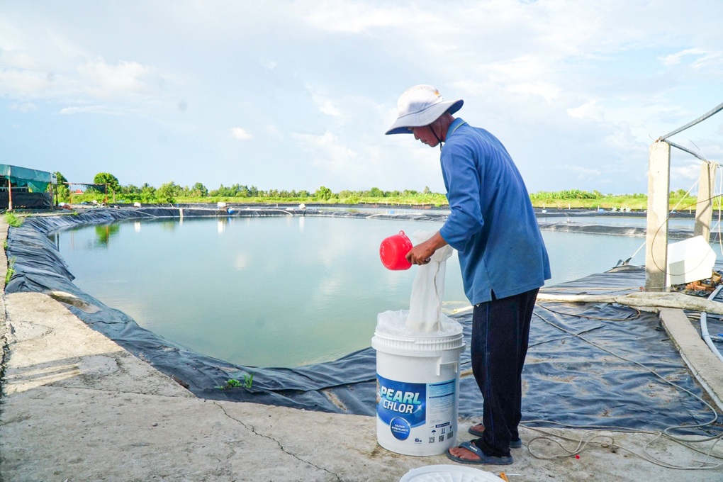 Pearl Chlor - sản phẩm đồng hành cùng bà con nuôi tôm - 4 Pearl Chlor - sản phẩm đồng hành cùng bà con nuôi tôm - 4