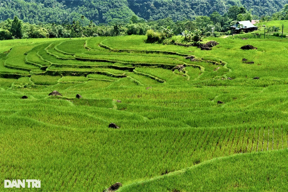Vẻ đẹp hút hồn ở Pù Luông nơi được mệnh danh là thiên đường giữa đại ngàn - 12 Vẻ đẹp hút hồn ở Pù Luông nơi được mệnh danh là thiên đường giữa đại ngàn - 12