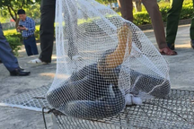 Rắn hổ mang chúa dài hơn 3 mét bò vào trường học