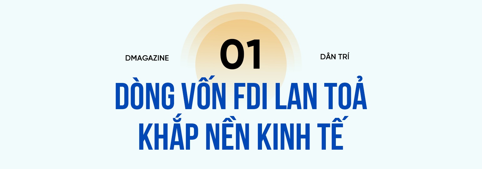 Đại bàng FDI và cú hích lịch sử cho kinh tế Việt Nam - 1