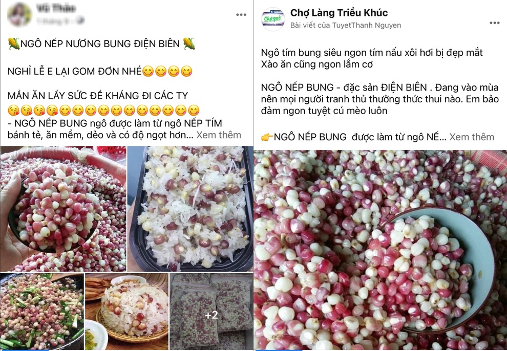 Ngô nếp bung bỗng thành đặc sản: Dân buôn bán cả tạ, thu bộn tiền - 1 Ngô nếp bung bỗng thành đặc sản: Dân buôn bán cả tạ, thu bộn tiền - 1