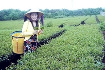 Bộ Công an vào cuộc vụ doanh nhân Hà Linh chết bất thường