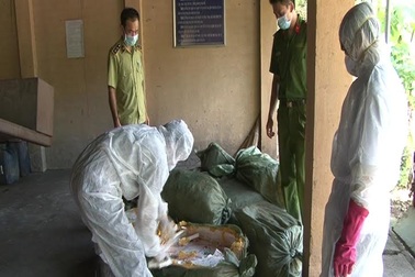 Bắt giữ gần 1 tấn nầm lợn bẩn nhập lậu từ Trung Quốc