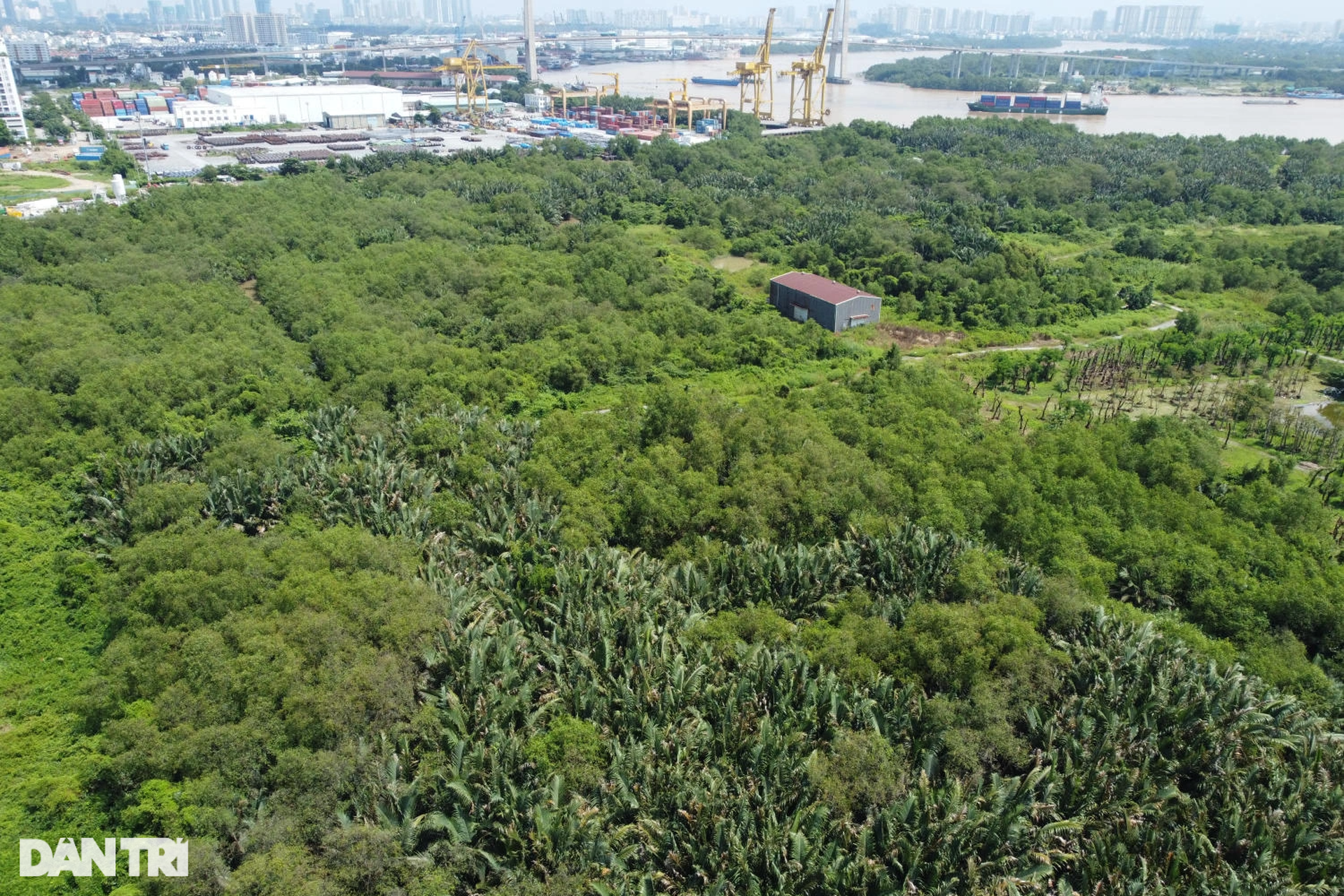 Con đường ven sông Sài Gòn dài khoảng 3km la liệt dự án tỷ USD - 5 Con đường ven sông Sài Gòn dài khoảng 3km la liệt dự án tỷ USD - 5