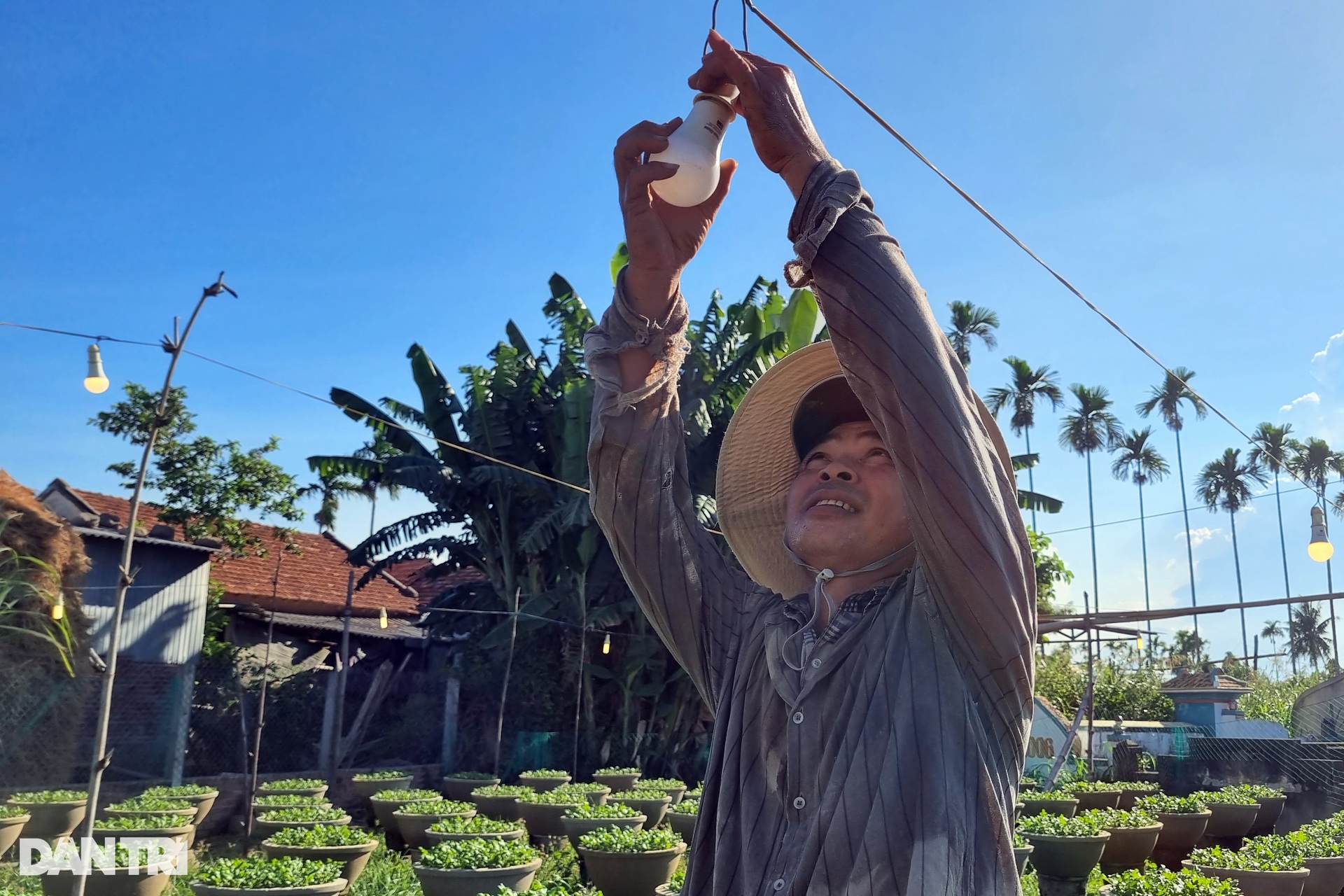 Những người gom nắng khơi màu, gọi Tết - 5 Những người gom nắng khơi màu, gọi Tết - 5