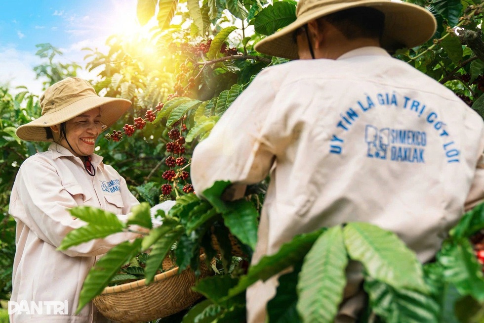 “Cơn lốc” hóa đơn và bài toán sinh tồn đau đầu của nông sản Việt - 1