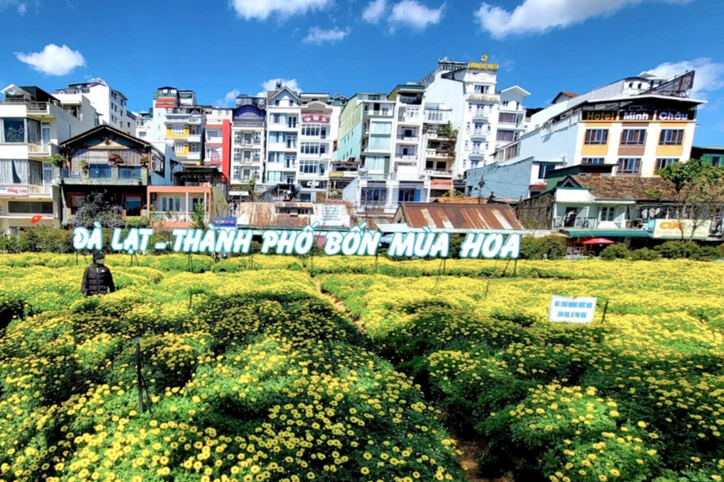 Thanh tra kiến nghị lãnh đạo Đà Lạt chấn chỉnh, rút kinh nghiệm - 1 Thanh tra kiến nghị lãnh đạo Đà Lạt chấn chỉnh, rút kinh nghiệm - 1
