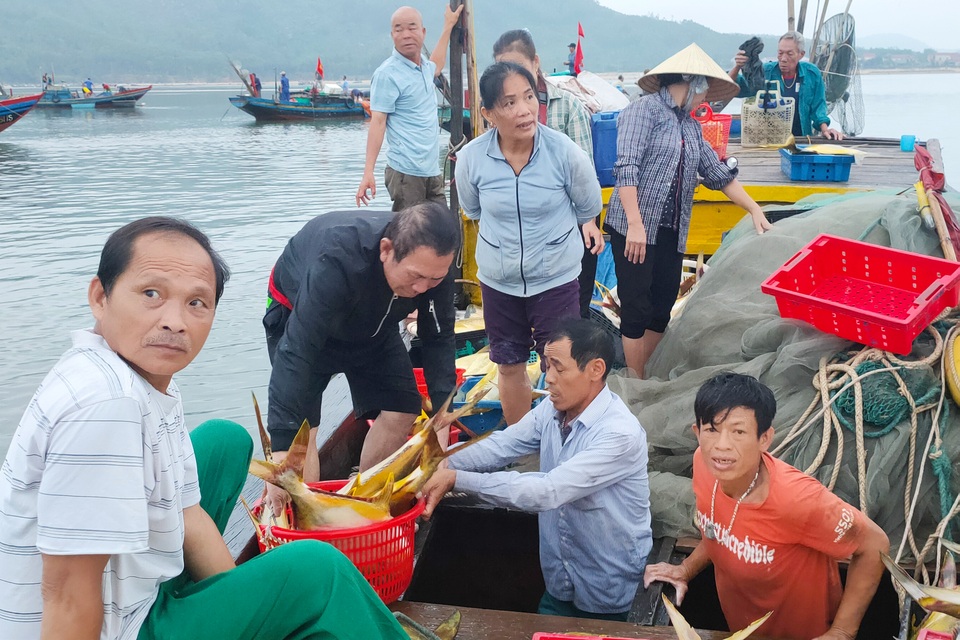 Ngư dân kể về chuyến ra khơi mang lại hơn 100 chỉ vàng - 3 Ngư dân kể về chuyến ra khơi mang lại hơn 100 chỉ vàng - 3
