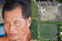 Nguồn nước bị ô nhiễm, hộ nuôi tôm gồng lỗ 1 tỷ đồng