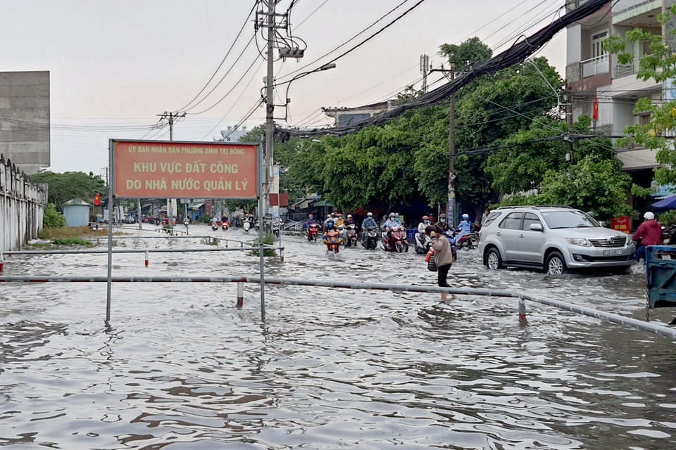 TPHCM mưa trắng trời, đường ngập, cây đổ khắp nơi - 6 TPHCM mưa trắng trời, đường ngập, cây đổ khắp nơi - 6