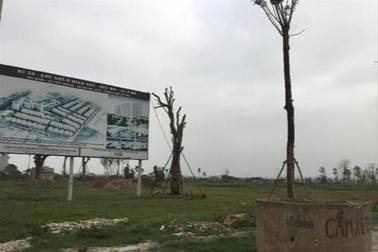 Hà Nội: Hai dự án chậm triển khai ở huyện Mê Linh được điều chỉnh quy hoạch