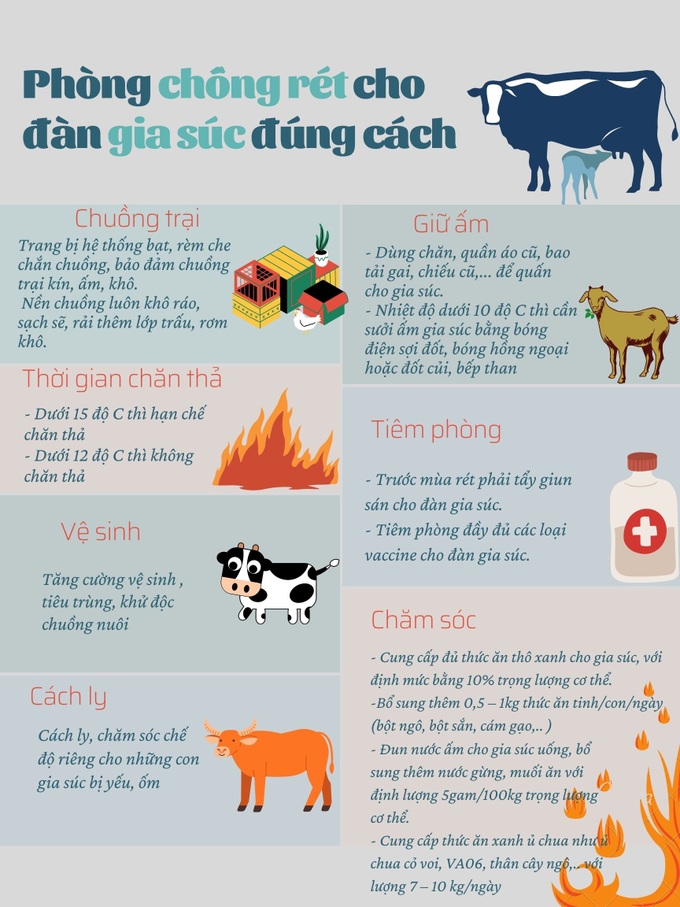 Các biện pháp phòng chống rét cho đàn gia súc - Ảnh 1.