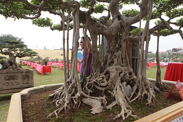 Sanh cổ “lực sĩ” đẹp nhất đất Hà Nội xưa, giá lên tới hơn 10 tỷ đồng