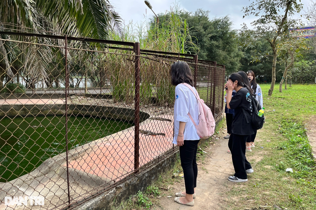 Công viên lớn nhất Nghệ An 2 năm vật vã xin thả đàn cá sấu - 2 Công viên lớn nhất Nghệ An 2 năm vật vã xin thả đàn cá sấu - 2