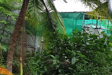 Đôi nam nữ tử vong trong căn nhà cháy: Tự đổ xăng phóng hỏa