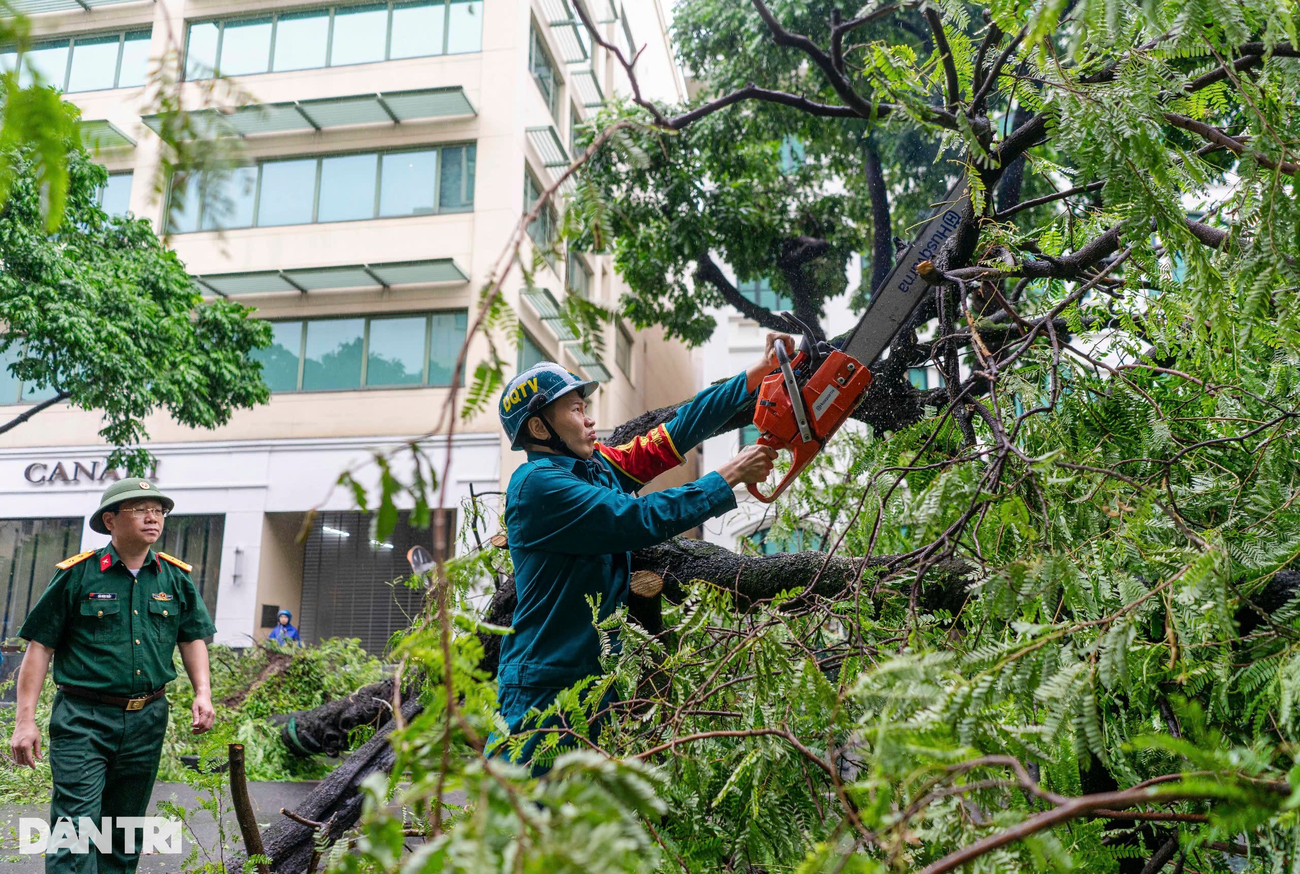 View - Hà Nội khẩn trương thu dọn cây đổ, khắc phục hậu quả sau bão | Báo Dân trí