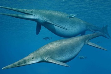 Ngư long cổ đại là một trong những sinh vật lớn nhất từng tồn tại