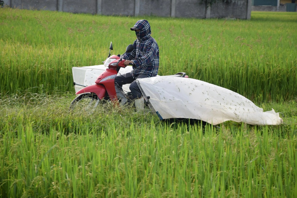 Đi xe máy lượn khắp đồng săn tôm bay, kiếm tiền triệu mỗi ngày - 3 Đi xe máy lượn khắp đồng săn tôm bay, kiếm tiền triệu mỗi ngày - 3