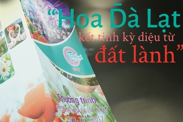 “Hoa Đà Lạt – kết tinh kỳ diệu từ đất lành”