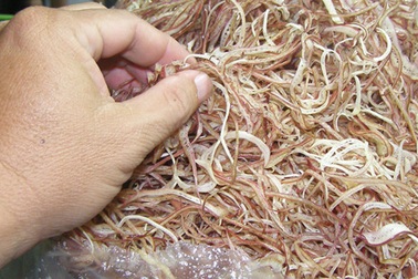 300 kg bắp chuối bào có chất gây hại suýt ra thị trường