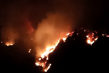 Hơn 300 người dập lửa cứu rừng trong đêm