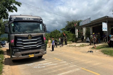 Bốn cháu nhỏ thương vong sau va chạm với xe đầu kéo