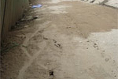 Ban quản lý khắc phục kiểu đối phó