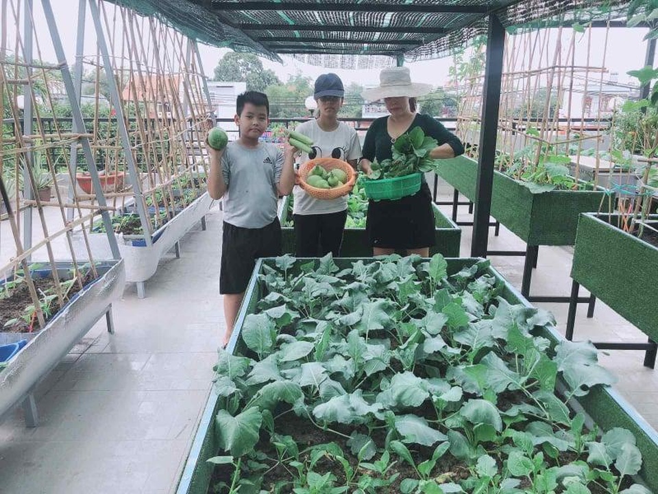 Doanh nhân 7x đào ao trồng sen đẹp hút hồn trên sân thượng 400m2 ở Sài Gòn - 12 Doanh nhân 7x đào ao trồng sen đẹp hút hồn trên sân thượng 400m2 ở Sài Gòn - 12