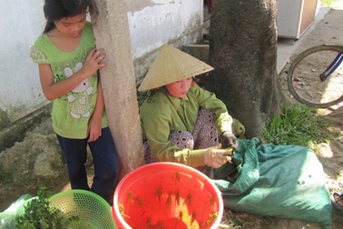 Kiếm vài chục triệu mỗi tháng nhờ... săn cào cào