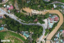 Tuyến đường Đà Lạt đề xuất chặt 108 cây thông ba lá