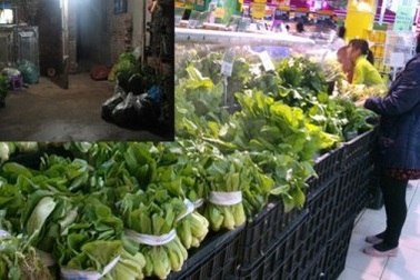 Rau an toàn chỉ chiếm dưới 10% thị phần?