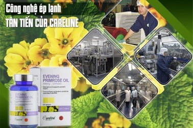 Công nghệ ép lạnh - Điều làm nên sự khác biệt của tinh dầu hoa anh thảo Careline