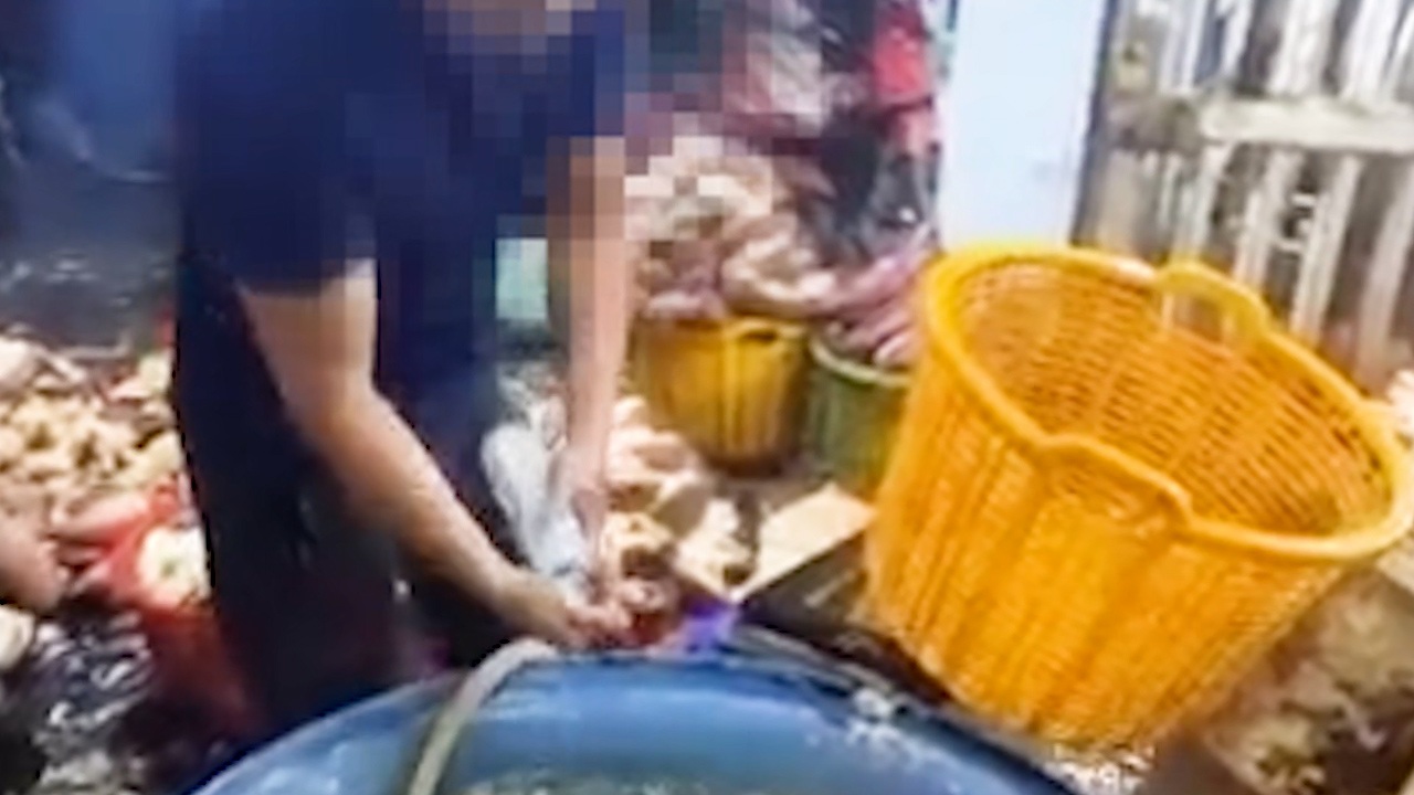 Hoa chuối được ngâm hóa chất 3 lần trước khi xuất bán ở TPHCM - 1 Hoa chuối được ngâm hóa chất 3 lần trước khi xuất bán ở TPHCM