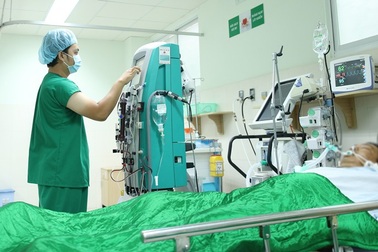 Một người mê sảng vì định lấy mật của tổ ong ven đường