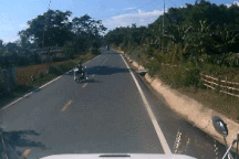 Tránh người sang đường ẩu, xe container lao xuống mương