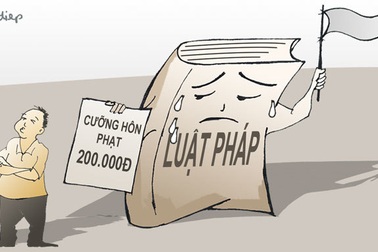 Một mức phạt… “ngất ngây con gà tây” người vi phạm!