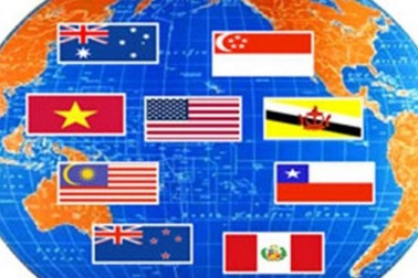 Quy chế hoạt động các Ban chỉ đạo liên ngành hội nhập kinh tế, chính trị 