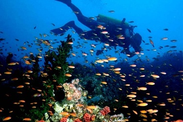 Hành trình về với biển đảo quê hương