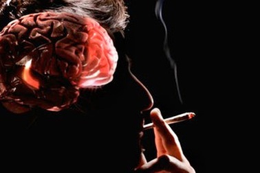 Hút thuốc lá làm mòn vỏ não