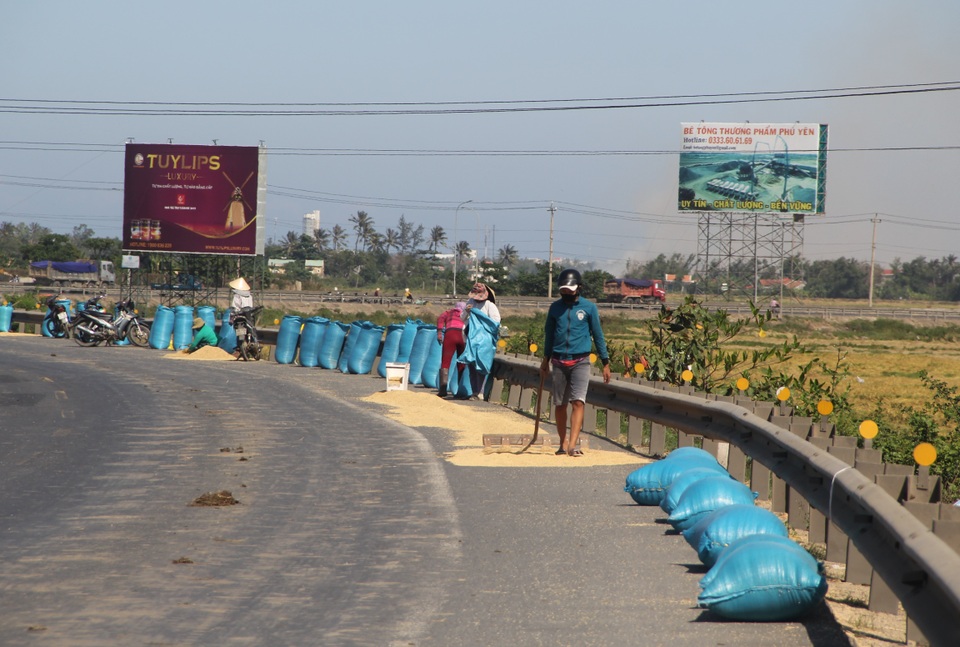 Tài xế hoảng khi quốc lộ 1A biến thành... sân phơi lúa - 2 Tài xế hoảng khi quốc lộ 1A biến thành... sân phơi lúa - 2