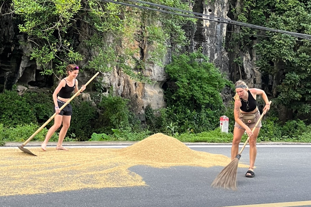 Khách Tây hối hả cào lúa giúp bà con Ninh Bình chạy mưa gây sốt - 1