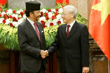 Tổng Bí thư, Chủ tịch nước Nguyễn Phú Trọng hội đàm với Quốc vương Brunei
