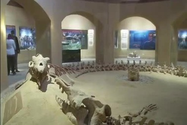 Ai Cập xây dựng bảo tàng hóa thạch đầu tiên ở khu vực Trung Đông